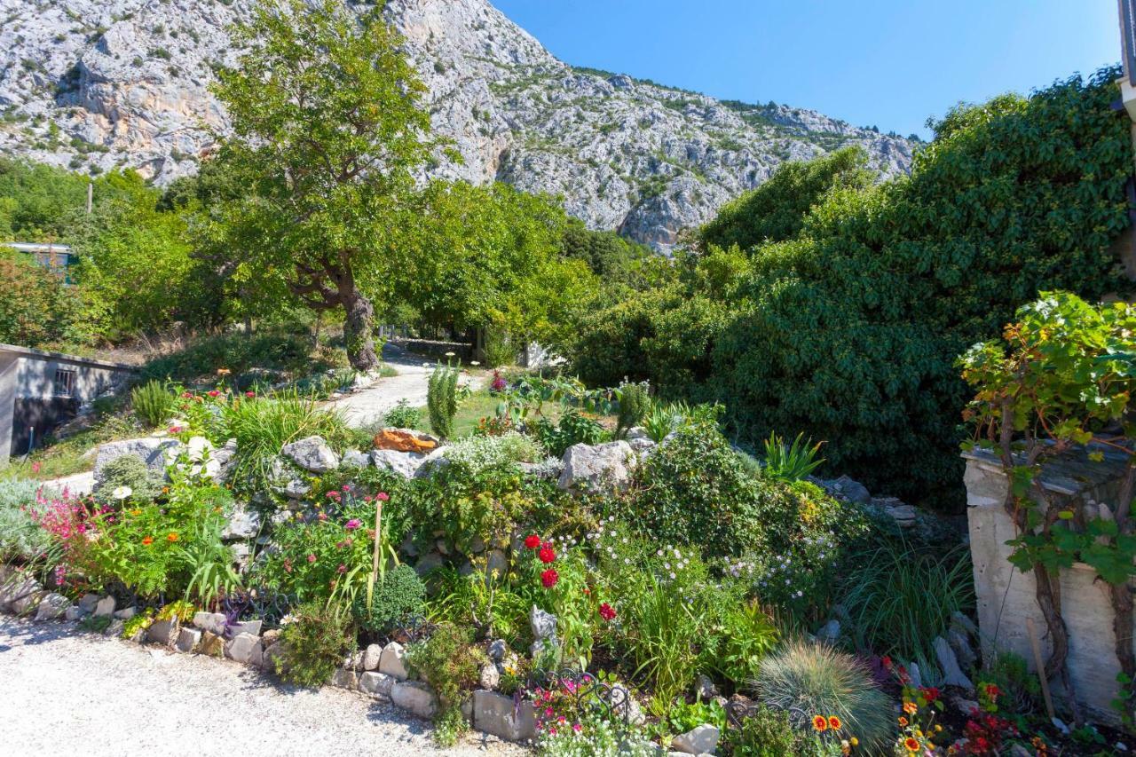 Holiday home Lavanda Grubisic Tucepi Bagian luar foto